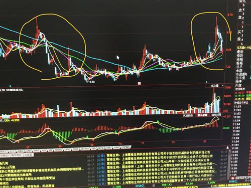 澳门今晚开特马 开奖结果走势图_含义落实_最新热门_VS217.16.235.120