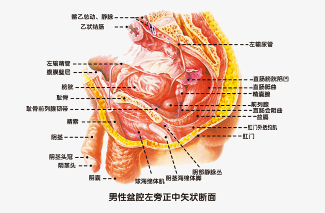 841995澳门资料大全免费_解剖落实_最新核心_VS208.144.192.64